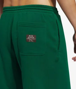 adidas Shmoo FW Shorts (dark green black)