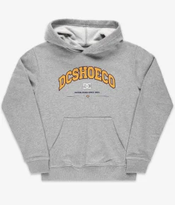 DC Orientation Hoodie kids (heather grey)