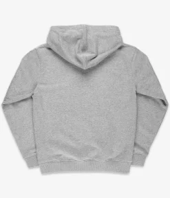 DC Orientation Hoodie kids (heather grey)