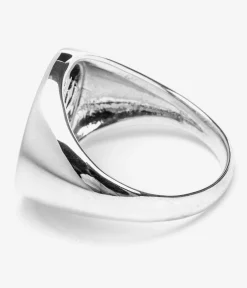 Disorder Skateboards Logo 2 Ring (silver)