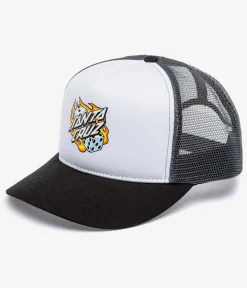 Santa Cruz Flaming Dice Dot Meshback Cap (white grey)