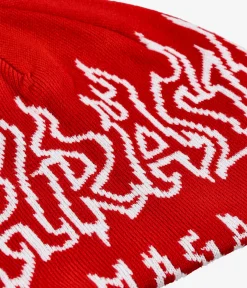 Thrasher Fire Outlined Mütze (red)