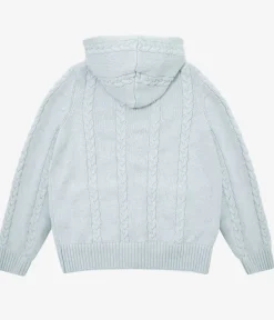 Yardsale Ivy Hoodie (baby blue)